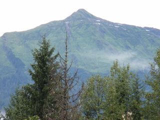 Filename=DSCF9303.JPG
Filesize=3111KiB
Dimensions=3264x2448
Date added=Sep 15, 2019 DSCF9303.JPG