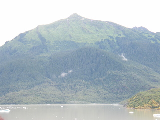 Filename=DSCF9316.JPG
Filesize=2830KiB
Dimensions=3264x2448
Date added=Sep 15, 2019 DSCF9316.JPG