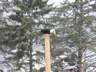 Filename=DSCF9332.JPG
Filesize=3202KiB
Dimensions=3264x2448
Date added=Sep 15, 2019 DSCF9332.JPG