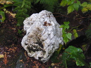 Filename=DSCF9337.JPG
Filesize=3023KiB
Dimensions=3264x2448
Date added=Sep 15, 2019 DSCF9337.JPG