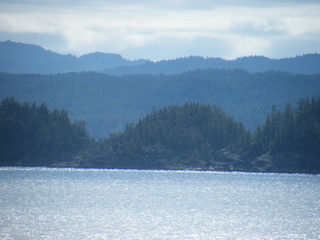 Filename=DSCF9353.JPG
Filesize=2957KiB
Dimensions=3264x2448
Date added=Sep 15, 2019 DSCF9353.JPG