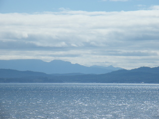 Filename=DSCF9357.JPG
Filesize=2975KiB
Dimensions=3264x2448
Date added=Sep 15, 2019 DSCF9357.JPG