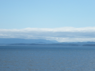 Filename=DSCF9363.JPG
Filesize=3121KiB
Dimensions=3264x2448
Date added=Sep 15, 2019 DSCF9363.JPG