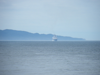 Filename=DSCF9364.JPG
Filesize=3141KiB
Dimensions=3264x2448
Date added=Sep 15, 2019 DSCF9364.JPG