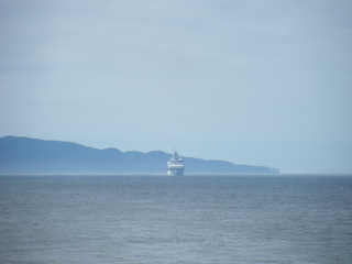 Filename=DSCF9369.JPG
Filesize=3077KiB
Dimensions=3264x2448
Date added=Sep 15, 2019 DSCF9369.JPG