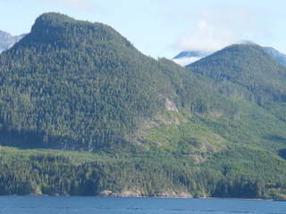 Filename=DSCF9373.JPG
Filesize=3060KiB
Dimensions=3264x2448
Date added=Sep 15, 2019 DSCF9373.JPG