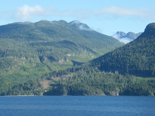 Filename=DSCF9374.JPG
Filesize=3117KiB
Dimensions=3264x2448
Date added=Sep 15, 2019 DSCF9374.JPG