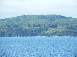 Filename=DSCF9397.JPG
Filesize=3108KiB
Dimensions=3264x2448
Date added=Sep 15, 2019 DSCF9397.JPG