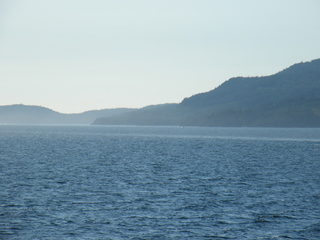 Filename=DSCF9398.JPG
Filesize=3039KiB
Dimensions=3264x2448
Date added=Sep 15, 2019 DSCF9398.JPG