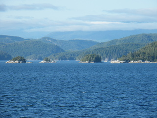 Filename=DSCF9410.JPG
Filesize=3031KiB
Dimensions=3264x2448
Date added=Sep 15, 2019 DSCF9410.JPG