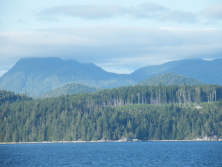 Filename=DSCF9418.JPG
Filesize=3344KiB
Dimensions=3264x2448
Date added=Sep 15, 2019 DSCF9418.JPG