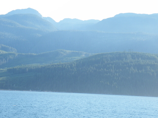 Filename=DSCF9419.JPG
Filesize=3295KiB
Dimensions=3264x2448
Date added=Sep 15, 2019 DSCF9419.JPG