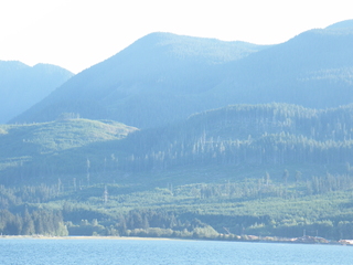 Filename=DSCF9420.JPG
Filesize=3518KiB
Dimensions=3264x2448
Date added=Sep 15, 2019 DSCF9420.JPG