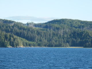 Filename=DSCF9426.JPG
Filesize=2895KiB
Dimensions=3264x2448
Date added=Sep 15, 2019 DSCF9426.JPG