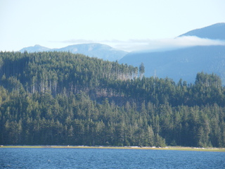 Filename=DSCF9427.JPG
Filesize=3209KiB
Dimensions=3264x2448
Date added=Sep 15, 2019 DSCF9427.JPG