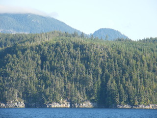 Filename=DSCF9428.JPG
Filesize=3002KiB
Dimensions=3264x2448
Date added=Sep 15, 2019 DSCF9428.JPG