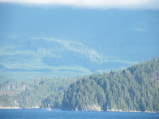 Filename=DSCF9430.JPG
Filesize=3361KiB
Dimensions=3264x2448
Date added=Sep 15, 2019 DSCF9430.JPG