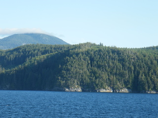 Filename=DSCF9433.JPG
Filesize=2879KiB
Dimensions=3264x2448
Date added=Sep 15, 2019 DSCF9433.JPG