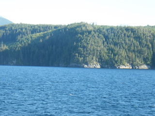 Filename=DSCF9439.JPG
Filesize=2740KiB
Dimensions=3264x2448
Date added=Sep 15, 2019 DSCF9439.JPG