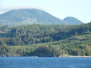 Filename=DSCF9454.JPG
Filesize=2970KiB
Dimensions=3264x2448
Date added=Sep 15, 2019 DSCF9454.JPG