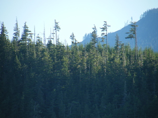 Filename=DSCF9455.JPG
Filesize=3129KiB
Dimensions=3264x2448
Date added=Sep 15, 2019 DSCF9455.JPG