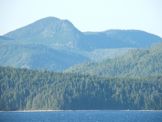 Filename=DSCF9465.JPG
Filesize=3061KiB
Dimensions=3264x2448
Date added=Sep 15, 2019 DSCF9465.JPG