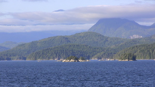 Filename=IMG_0459.JPG
Filesize=1097KiB
Dimensions=1920x1080
Date added=Sep 15, 2019 IMG_0459.JPG