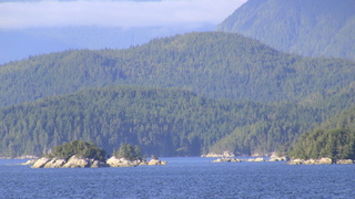 Filename=IMG_0460.JPG
Filesize=1162KiB
Dimensions=1920x1080
Date added=Sep 15, 2019 IMG_0460.JPG