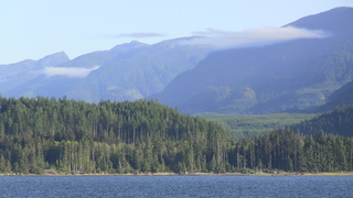 Filename=IMG_0466.JPG
Filesize=1048KiB
Dimensions=1920x1080
Date added=Sep 15, 2019 IMG_0466.JPG