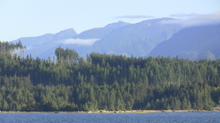 Filename=IMG_0467.JPG
Filesize=1076KiB
Dimensions=1920x1080
Date added=Sep 15, 2019 IMG_0467.JPG