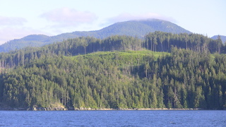 Filename=IMG_0468.JPG
Filesize=1121KiB
Dimensions=1920x1080
Date added=Sep 15, 2019 IMG_0468.JPG