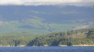 Filename=IMG_0471.JPG
Filesize=1065KiB
Dimensions=1920x1080
Date added=Sep 15, 2019 IMG_0471.JPG