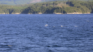 Filename=IMG_0472.JPG
Filesize=1178KiB
Dimensions=1920x1080
Date added=Sep 15, 2019 IMG_0472.JPG