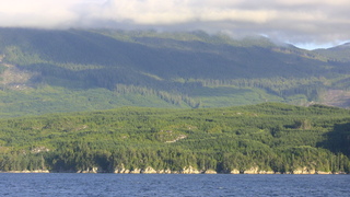 Filename=IMG_0475.JPG
Filesize=1097KiB
Dimensions=1920x1080
Date added=Sep 15, 2019 IMG_0475.JPG