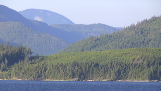 Filename=IMG_0479.JPG
Filesize=1078KiB
Dimensions=1920x1080
Date added=Sep 15, 2019 IMG_0479.JPG