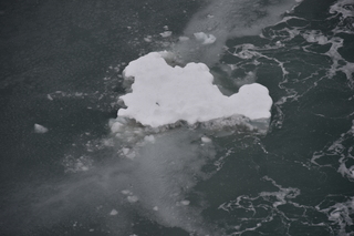 Filename=DSC_4604.JPG
Filesize=15275KiB
Dimensions=7360x4912
Date added=Oct 17, 2021 DSC_4604.JPG