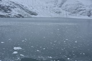 Filename=DSC_4608.JPG
Filesize=18300KiB
Dimensions=7360x4912
Date added=Oct 17, 2021 DSC_4608.JPG