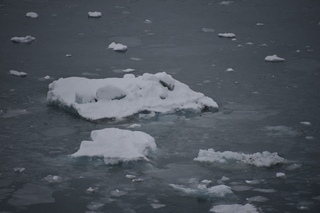 Filename=DSC_4611.JPG
Filesize=15298KiB
Dimensions=7360x4912
Date added=Oct 17, 2021 DSC_4611.JPG