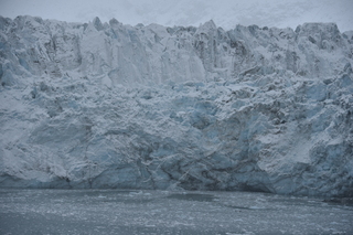 Filename=DSC_4628.JPG
Filesize=18250KiB
Dimensions=7360x4912
Date added=Oct 17, 2021 DSC_4628.JPG