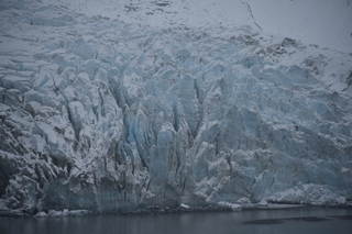 Filename=DSC_4652.JPG
Filesize=17481KiB
Dimensions=7360x4912
Date added=Oct 17, 2021 DSC_4652.JPG