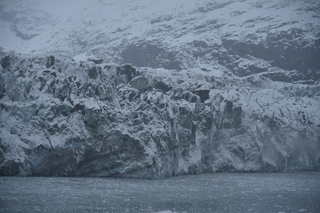 Filename=DSC_4657.JPG
Filesize=18770KiB
Dimensions=7360x4912
Date added=Oct 17, 2021 DSC_4657.JPG