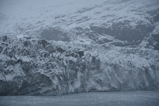 Filename=DSC_4658.JPG
Filesize=18000KiB
Dimensions=7360x4912
Date added=Oct 17, 2021 DSC_4658.JPG