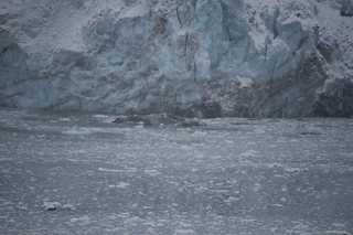 Filename=DSC_4660.JPG
Filesize=17451KiB
Dimensions=7360x4912
Date added=Oct 17, 2021 DSC_4660.JPG