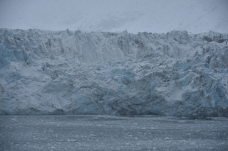 Filename=DSC_4669.JPG
Filesize=17858KiB
Dimensions=7360x4912
Date added=Oct 17, 2021 DSC_4669.JPG