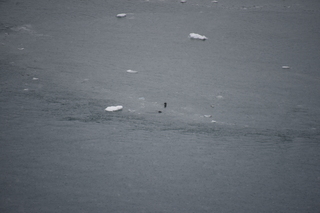 Filename=DSC_4679.JPG
Filesize=15953KiB
Dimensions=7360x4912
Date added=Oct 17, 2021 DSC_4679.JPG