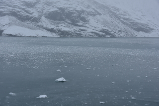 Filename=DSC_4699.JPG
Filesize=18369KiB
Dimensions=7360x4912
Date added=Oct 17, 2021 DSC_4699.JPG