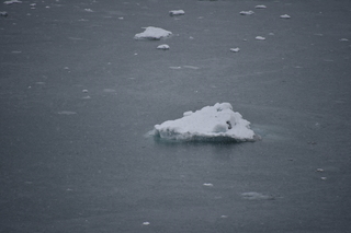 Filename=DSC_4701.JPG
Filesize=15989KiB
Dimensions=7360x4912
Date added=Oct 17, 2021 DSC_4701.JPG