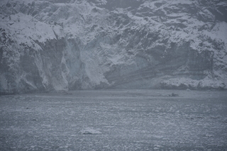 Filename=DSC_4702.JPG
Filesize=18411KiB
Dimensions=7360x4912
Date added=Oct 17, 2021 DSC_4702.JPG