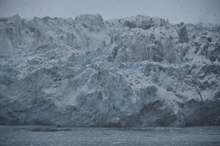 Filename=DSC_4708.JPG
Filesize=18269KiB
Dimensions=7360x4912
Date added=Oct 17, 2021 DSC_4708.JPG