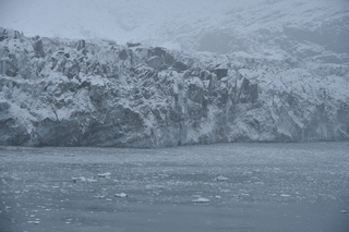 Filename=DSC_4710.JPG
Filesize=19506KiB
Dimensions=7360x4912
Date added=Oct 17, 2021 DSC_4710.JPG